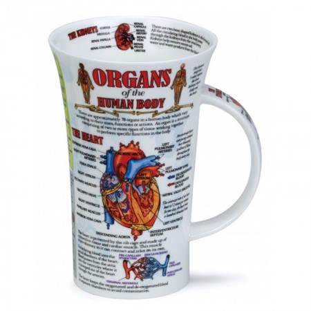 Kubek Glencoe Organs of the Human Body 500ml Dunoon