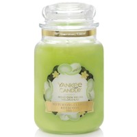 Świeca duża Honeydew Melon Yankee Candle