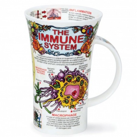 Kubek Glencoe The Immune System 500ml Dunoon